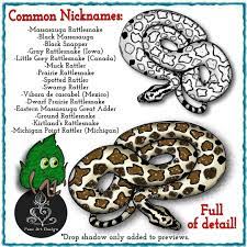 Massasauga Rattlesnake Clipart Paez Art Design Clip Art Art Design Art