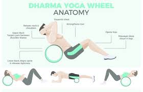45 Selected Yoga Wheel Exercise Charts To Keep You In Shape Bored Art Workout Chart Yoga Wheel Exercises Yoga Wheel