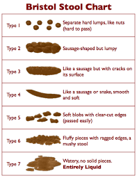 Bristol Stool Color Chart Free Download