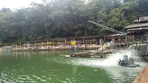 Disitu kita akan merasakan indahnya kebersamaan lewat sebuah hobi. Kolam Taman U Kolam Air Masin Sri Kembangan Youtube