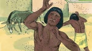 Image result for moses plagues of egypt