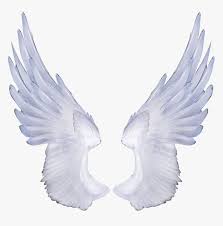 Free Angel Wings Transparent Background Angel Transparent Background Wing Png Png Download Is Free Transpar Wings Png Transparent Background Angel Wings Png Angel, angelic, wings, angel wings, feathered wings, chibi, cute, kawaii, bird wings, heaven, heavenly. free angel wings transparent background