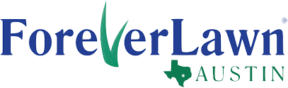 Artificial grass, artificial turf, synthetic turf, pet turf, dog grass, synthetic landscaping, putting greens. Foreverlawn Austin Tx Artificial Grass Synthetic Turf Playground Grass K9grass Landscape Grass Golfgreens Dupont Foreverlawn Lawn Pop Synlawn Elite Turf Foreverlawn Texas