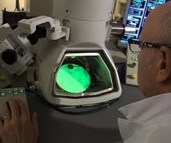Le Doc Du Dimanche Replay Sur France 5