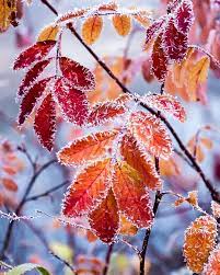 Pin By Satu Maaria Virtanen On Beautiful Autumn Scenery Winter Scenery Winter Landscape