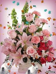 Explore our exclusive flowers for birthday, anniversary. 300 Flower Gifs Ideas Beautiful Flowers Flowers Beautiful Gif