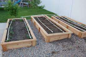 This is the best and very satisfying way to water your vegetables. When Is The Best Time To Water Plants Our Stoney Acres