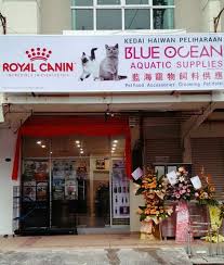 His vision was to put the health and happiness of all his. Guardians Pet Community Facebook