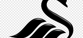 1912 — 1922 the team started its history in 1912 under the name of the swansea town. Swansea City A F C Png Images Pngegg