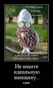 Не ищите идеальную женщину.. Я дома. - Супер Демотиваторы - Подборка лучших  демотиваторов сети