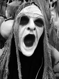 My cat flap has Edvard Munch's The Scream