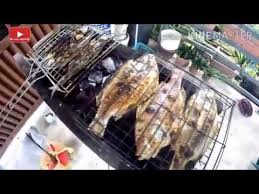 We did not find results for: Easy Charcoal Grilled Tilapia Fish Cara Mudah Ikan Talapia Bakar Youtube