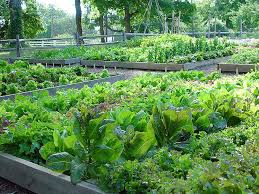 Kitchen Garden At Fordhook Farm Jardin Potager Potager Jardins