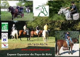 Penwarden susan 57 ans, directeur général de aviva assurances societe anonyme d'assurances incendie accidents et risques divers en abrege aviva assurances. Espace Equestre Du Pays De Retz Chauve Telephone Horaires Adresse