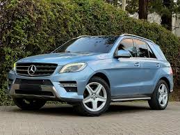 Image result for Selenite Gray 2015 ML