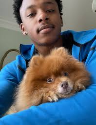 I am sad to say that there is a kitty up