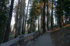 The entrance to the panoramic point road starts next to the john muir lodge driveway (turn left into the lodge or right for the road to the point). Kings Canyon Panoramic Point Sunset Takemytrip Com