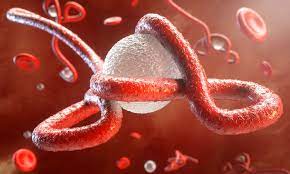 Ebola Survivors Have A Unique Retinal Scar New Study Suggests
