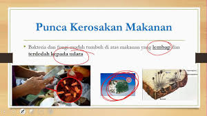 Mikroorganisma unit 4 unit 5: Sains Tahun 6 Pengawetan Makanan Youtube