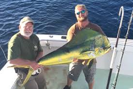 Don't forget, even a sailfish was caught here. Destin Deep Sea Fishing Charters Destin Destin Harbor