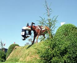 Kuvahaun tulos haulle falling from horse