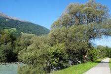Zu hause in osttirol zuhause in osttirol bedeutet wohnen mit osg. Oberlienz Tirol Osterreich