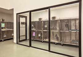 Isolation Room Hospital Design Hospital Design Pet Clinic Veterinary Clinic