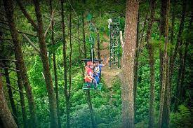 Tree Top Adventure Baguio S Silver Surfer Top Adventures Silver Surfer Tree Tops