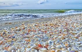Florida Day Trips Beaches For Swimming Shelling And Chilling Price and stock could change. florida backroads travel
