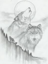 Tons of awesome cool wolf backgrounds to download for free. Wolf Cool Animals To Draw Easy Novocom Top