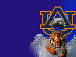 Write a comment cancel reply. Auburn Tiger Wallpapers Group 48