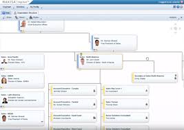 Org Chart Builder Budget And Innovative Options Org Charting