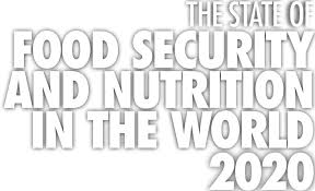 I was wondering if anyone on instructables is good with this subject and could help him understand the prosess.the problem is to long. The State Of Food Security And Nutrition In The World 2020