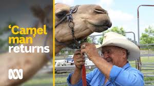 There are a lot of places where you can hear irish music. Central Queensland S Camel Man Eager To Return As Races Start Post Covid Abc News