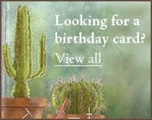Alternatively, you can email help@jacquielawson.com. Greeting Cards Animated Ecards Jacquie Lawson Cards