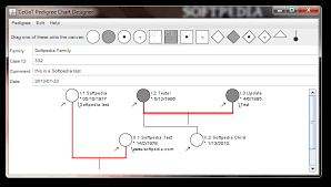 download pedigree chart designer