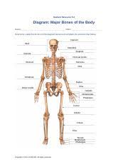 Btus are a way that energy is measured. 5 2 Diagram Major Bones Of The Body Docx Student Resource 5 2 Diagram Major Bones Of The Body Name Date Directions Label The Bones On The Diagram Course Hero