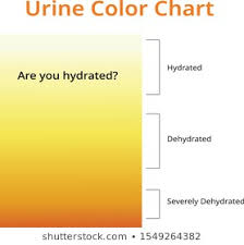 Urine Color Images Stock Photos Vectors Shutterstock
