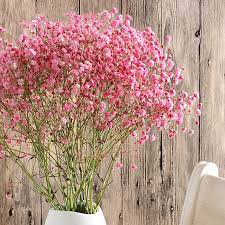 We did not find results for: Denisfen Gypsophila Natural Dried Flowers Bouquet Colorful Decotive Flower Baby Breath For Wedding Home Decoration Diy Craft Flowers For Flower For Weddingflower Bouquet Aliexpress