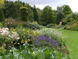 The Beth Chatto Gardens Beth Chatto Modern Garden Garden Visits