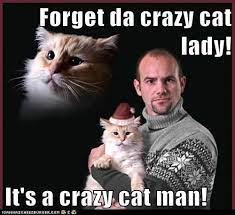 Untitled Crazy Cat Man Crazy Cats Funny Cat Memes