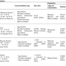 Image result for Grewia conocarpoides