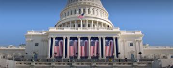 Image result for Bidens ugandensis