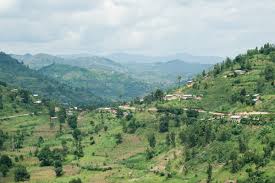 I am absolutely in love with the landscapes here. Press Release Tubura Announces Open Enrollment For Farmers In Rwanda One Acre Fund