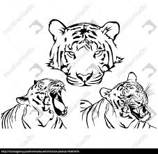 Whether you are hoping to become a tattoo artist or you simply love the style of certain tattoos, these tattoo drawings tutorials will help you along. Tiger Tattoo Drawings Royalty Free Photo 16493476 Panthermedia Stock Agency