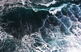 Climate Change May Be Dissolving The Ocean Floor Here S Why We Should Be Worried Download all photos and use them even for commercial projects. climate change may be dissolving the ocean floor here s why we should be worried