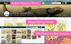 While viewing any flickr photos page, click on the bookmarklet to open the same view on flickriver. How Do I Search The Bhl Flickr About Bhl