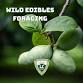 Wild Edibles Foraging- Carrie Vrabel