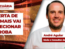 Cenário de menor oferta de animais vai direcionar preços da arroba já a partir de setembro