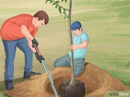 5 Ways To Save The Rain Forest - Wikihow